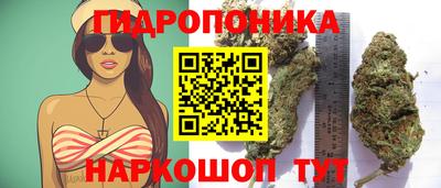 mix Новозыбков