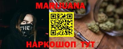 spice Новодвинск