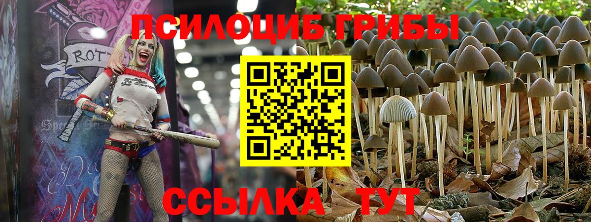 Трёхгорный  Галлюциногенные грибы Psilocybine cubensis  Вход с VPN  Псилоцибиновые грибы GOLDEN TEACHER 